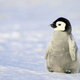 Pinterest via Kuoni Travel